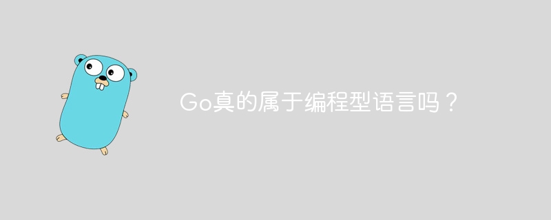 Go真的属于编程型语言吗？-第1张图片-海印网