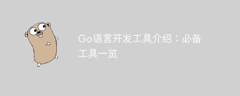 Go语言开发工具介绍：必备工具一览-第1张图片-海印网