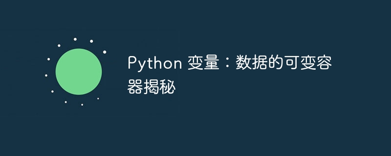 Python 变量：数据的可变容器揭秘-第1张图片-海印网