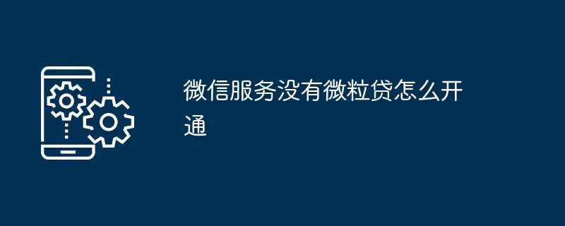 微信服务没有微粒贷怎么开通-第1张图片-海印网