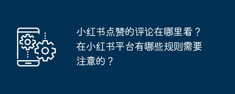 小红书点赞的评论在哪里看？在小红书平台有哪些规则需要注意的？-第1张图片-海印网