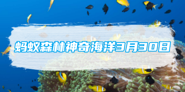 蚂蚁森林神奇海洋3月30日：宽吻海豚会在珊瑚上摩擦身体主要是为了-第1张图片-海印网