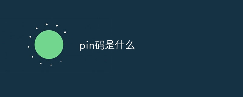 pin码是什么-第1张图片-海印网