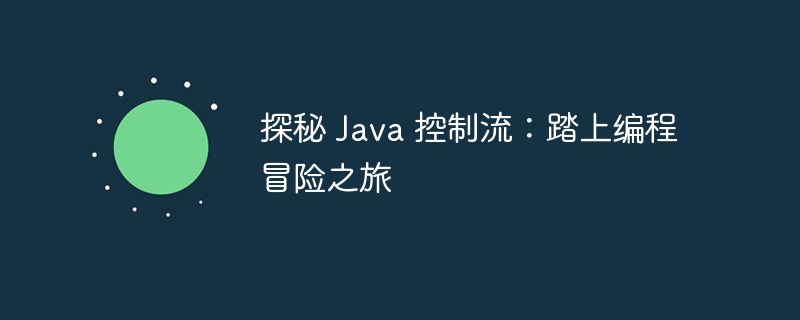 探秘 Java 控制流：踏上编程冒险之旅-第1张图片-海印网