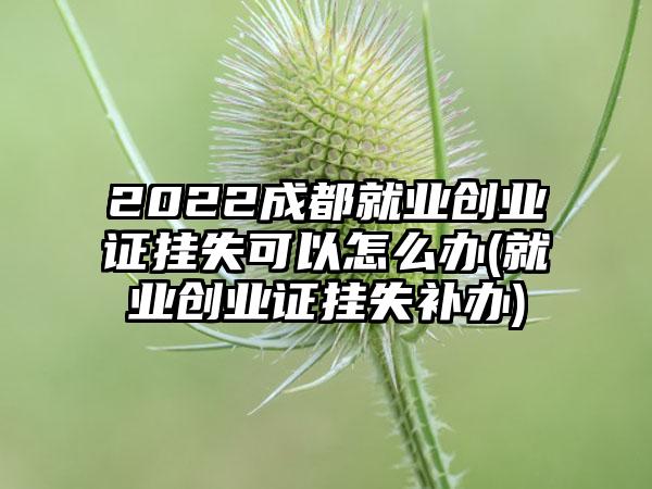 2022成都就业创业证挂失可以怎么办(就业创业证挂失补办)-第1张图片-海印网