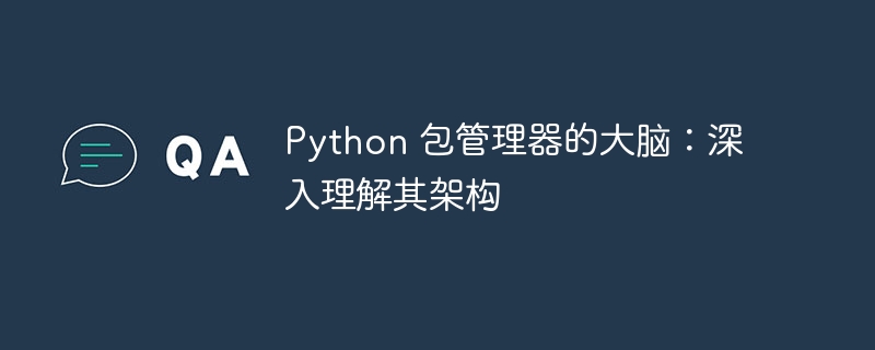 Python 包管理器的大脑：深入理解其架构-第1张图片-海印网