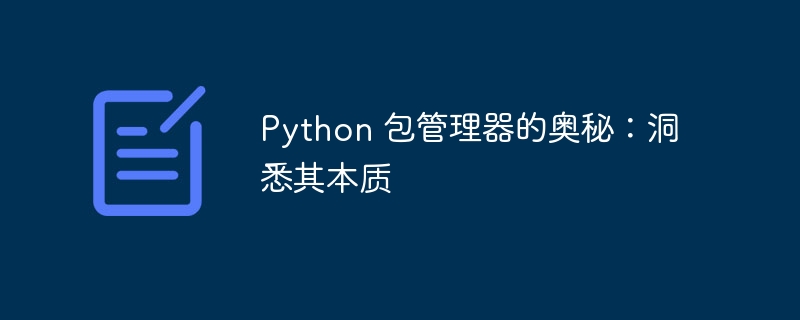 Python 包管理器的奥秘：洞悉其本质-第1张图片-海印网