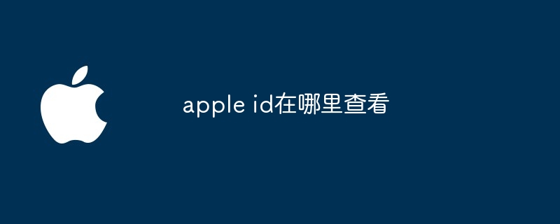 apple id在哪里查看-第1张图片-海印网