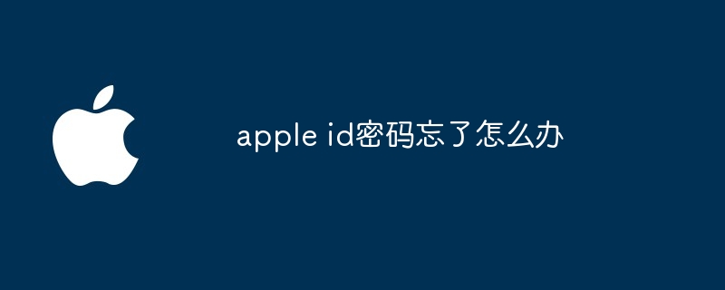 apple id密码忘了怎么办-第1张图片-海印网