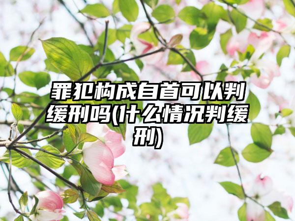 罪犯构成自首可以判缓刑吗(什么情况判缓刑)-第1张图片-海印网