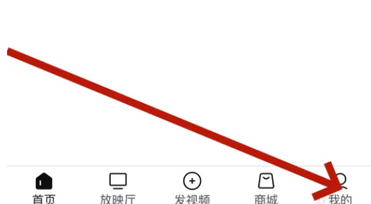 西瓜视频支付密码怎么设置-第2张图片-海印网