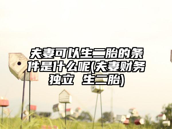 夫妻可以生二胎的条件是什么呢(夫妻财务独立 生二胎)-第1张图片-海印网