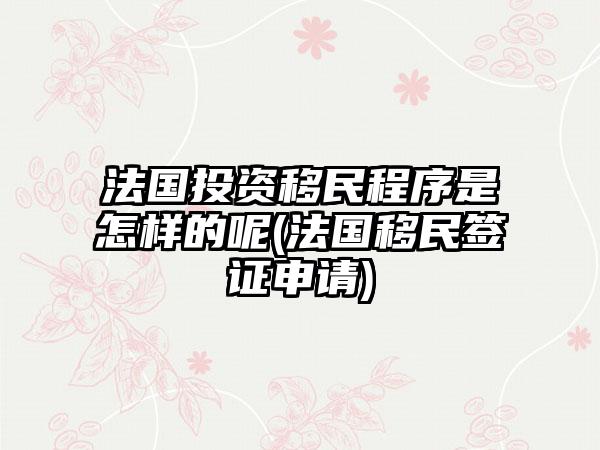 法国投资移民程序是怎样的呢(法国移民签证申请)-第1张图片-海印网