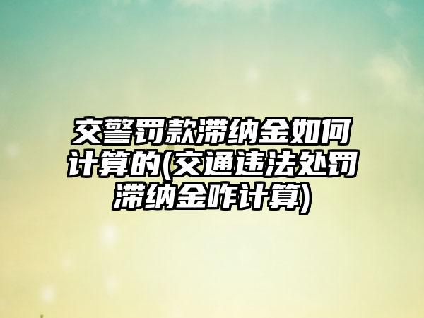 交警罚款滞纳金如何计算的(交通违法处罚滞纳金咋计算)-第1张图片-海印网