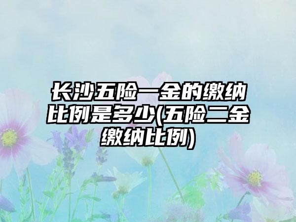 长沙五险一金的缴纳比例是多少(五险二金缴纳比例)-第1张图片-海印网