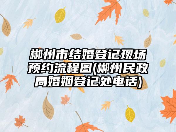 郴州市结婚登记现场预约流程图(郴州民政局婚姻登记处电话)-第1张图片-海印网