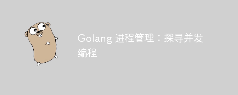 Golang 进程管理：探寻并发编程-第1张图片-海印网