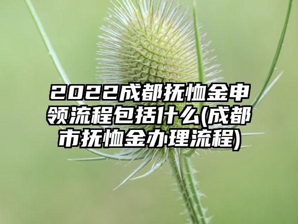 2022成都抚恤金申领流程包括什么(成都市抚恤金办理流程)-第1张图片-海印网