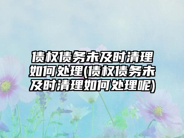 债权债务未及时清理如何处理(债权债务未及时清理如何处理呢)-第1张图片-海印网