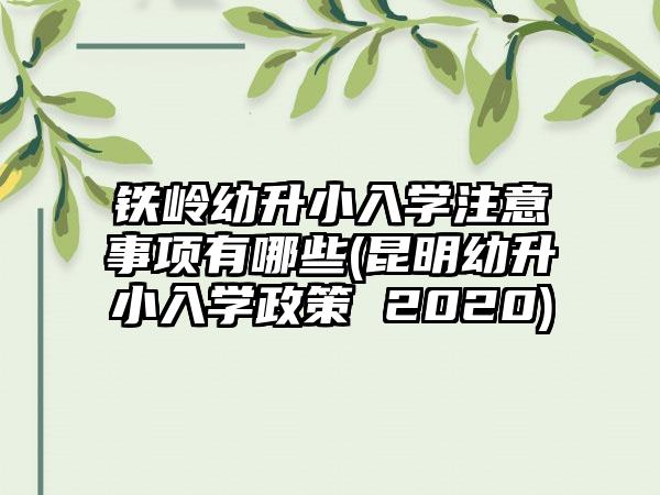 铁岭幼升小入学注意事项有哪些(昆明幼升小入学政策 2020)