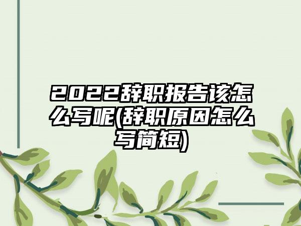 2022辞职报告该怎么写呢(辞职原因怎么写简短)-第1张图片-海印网