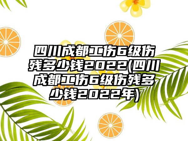 四川成都工伤6级伤残多少钱2022(四川成都工伤6级伤残多少钱2022年)-第1张图片-海印网