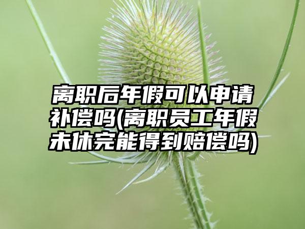 离职后年假可以申请补偿吗(离职员工年假未休完能得到赔偿吗)-第1张图片-海印网