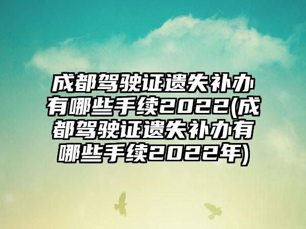 成都驾驶证遗失补办有哪些手续2022(成都驾驶证遗失补办有哪些手续2022年)-第1张图片-海印网