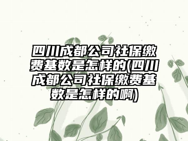 四川成都公司社保缴费基数是怎样的(四川成都公司社保缴费基数是怎样的啊)