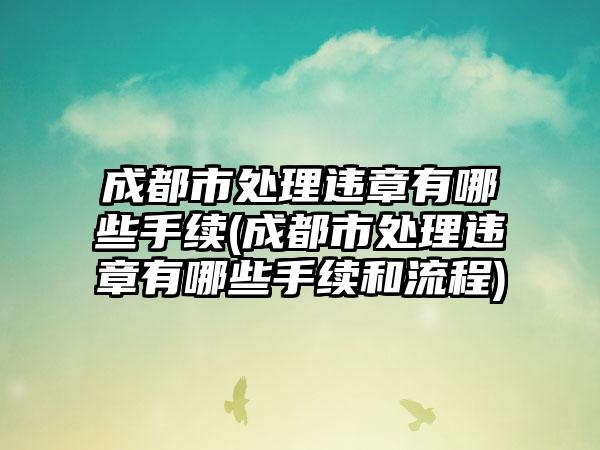 成都市处理违章有哪些手续(成都市处理违章有哪些手续和流程)-第1张图片-海印网