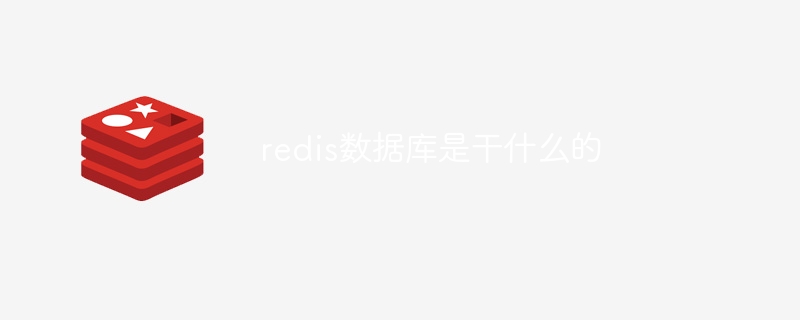 redis数据库是干什么的-第1张图片-海印网