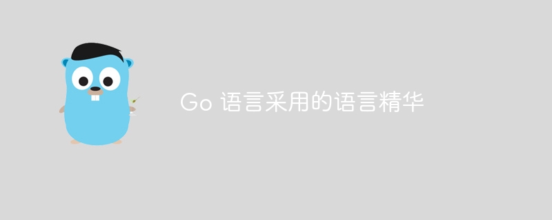 Go 语言采用的语言精华-第1张图片-海印网