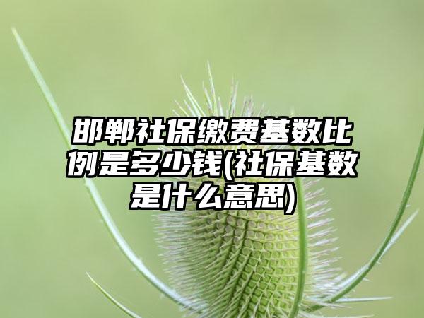 邯郸社保缴费基数比例是多少钱(社保基数是什么意思)