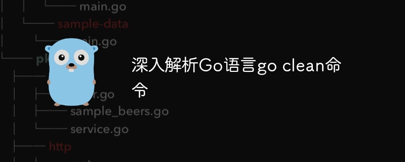 深入解析Go语言go clean命令-第1张图片-海印网