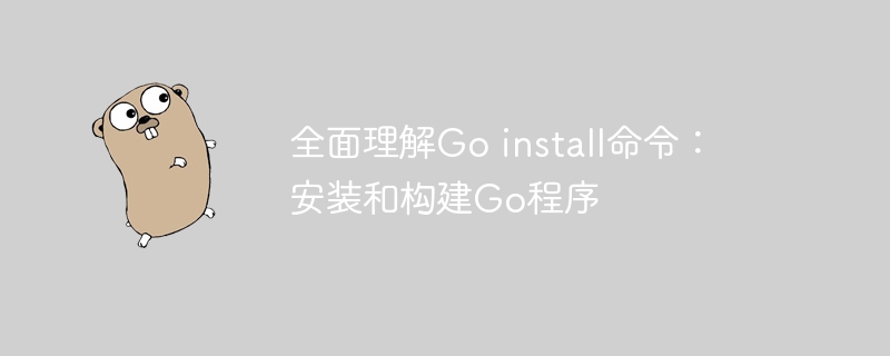 全面理解Go install命令：安装和构建Go程序-第1张图片-海印网