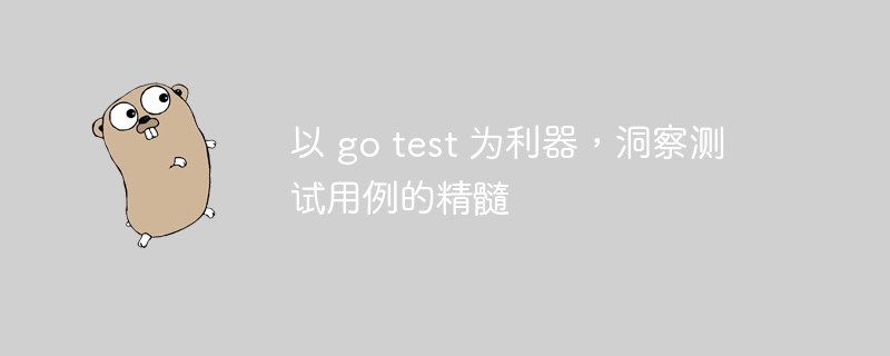 以 go test 为利器，洞察测试用例的精髓-第1张图片-海印网