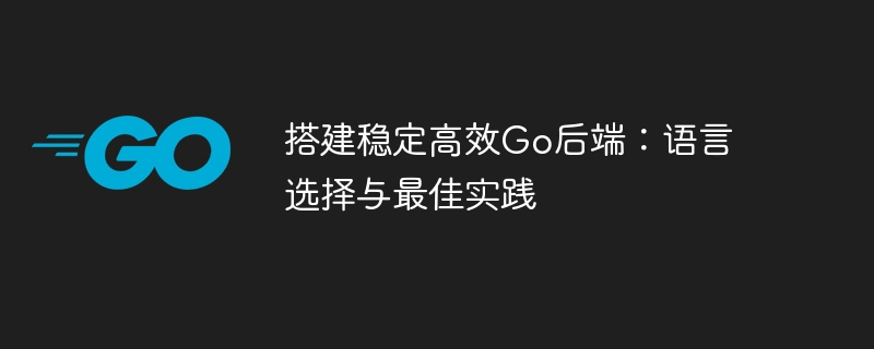 搭建稳定高效Go后端：语言选择与最佳实践-第1张图片-海印网