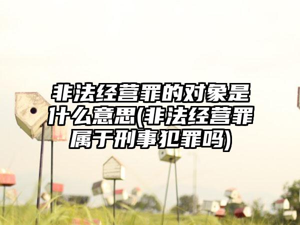 非法经营罪的对象是什么意思(非法经营罪属于刑事犯罪吗)-第1张图片-海印网