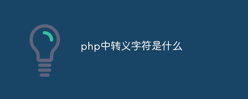 php中转义字符是什么-第1张图片-海印网