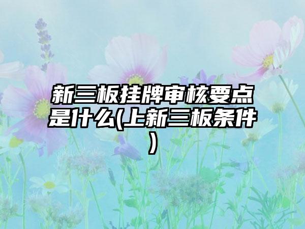 新三板挂牌审核要点是什么(上新三板条件)-第1张图片-海印网