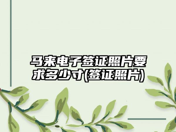 马来电子签证照片要求多少寸(签证照片)-第1张图片-海印网