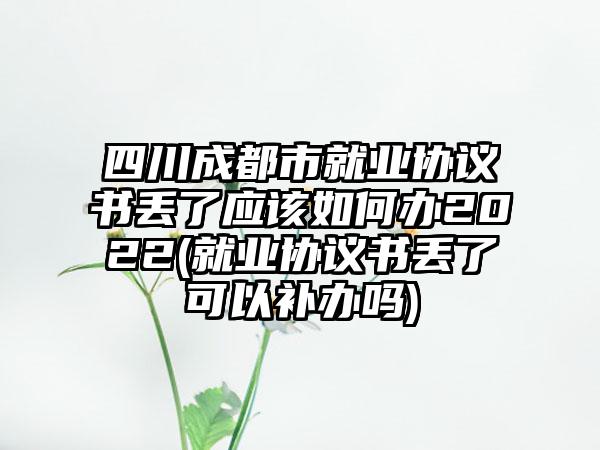 四川成都市就业协议书丢了应该如何办2022(就业协议书丢了可以补办吗)-第1张图片-海印网