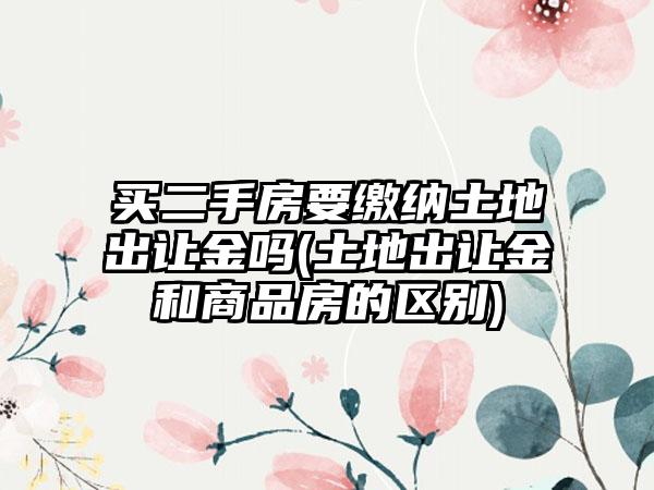 买二手房要缴纳土地出让金吗(土地出让金和商品房的区别)-第1张图片-海印网