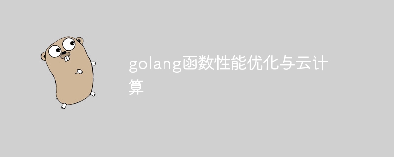 golang函数性能优化与云计算-第1张图片-海印网