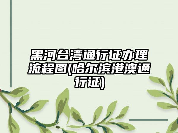 黑河台湾通行证办理流程图(哈尔滨港澳通行证)