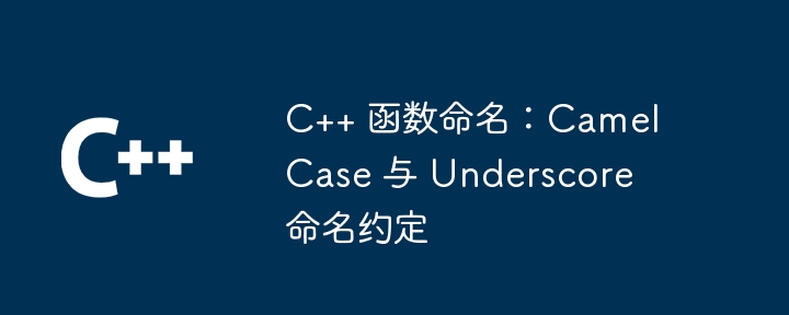 C++ 函数命名：CamelCase 与 Underscore 命名约定-第1张图片-海印网