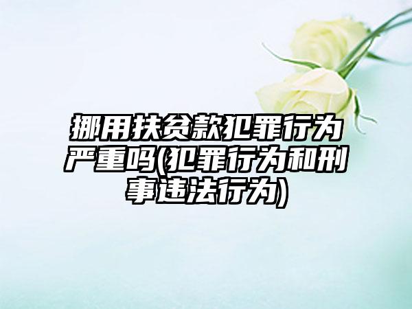 挪用扶贫款犯罪行为严重吗(犯罪行为和刑事违法行为)-第1张图片-海印网