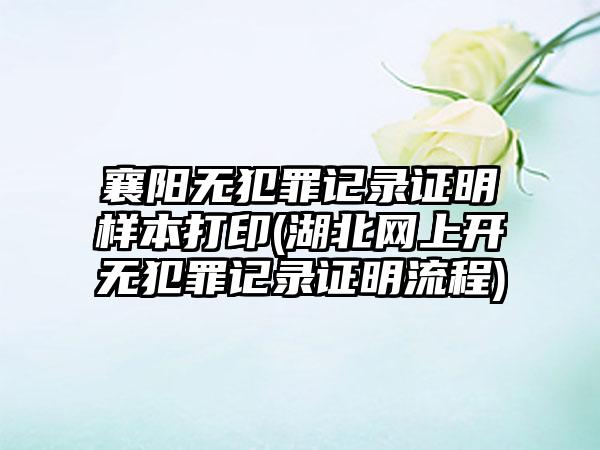 襄阳无犯罪记录证明样本打印(湖北网上开无犯罪记录证明流程)-第1张图片-海印网