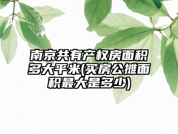 南京共有产权房面积多大平米(买房公摊面积最大是多少)-第1张图片-海印网