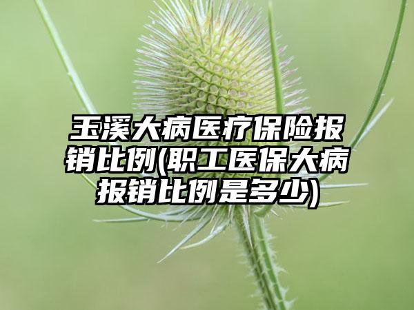 玉溪大病医疗保险报销比例(职工医保大病报销比例是多少)-第1张图片-海印网